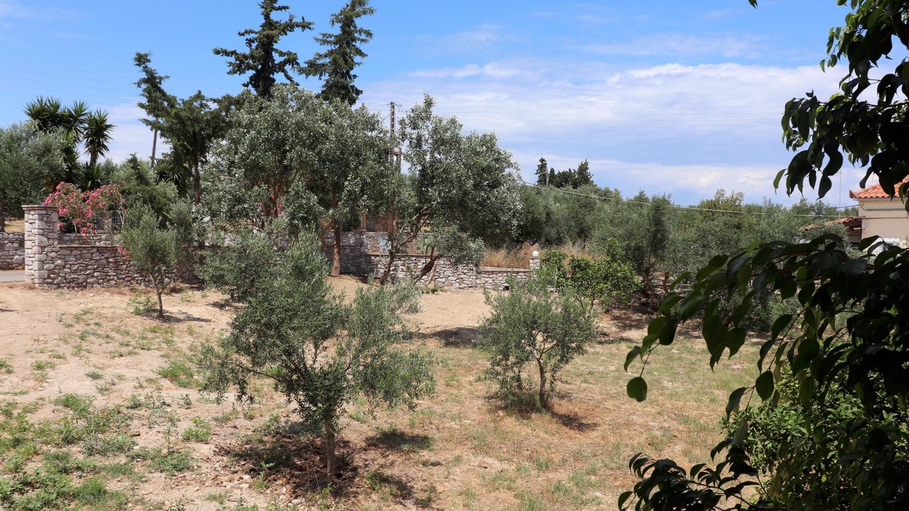 Photo of Outdoor in Pylos-Nestoras