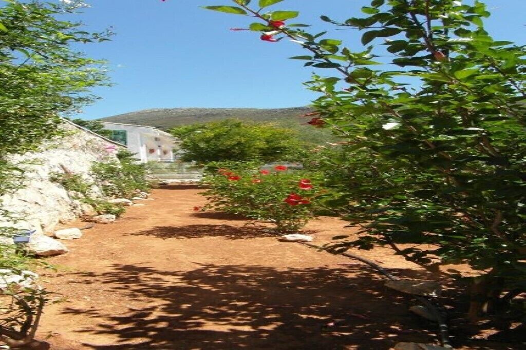 Photo of Outdoor in Ratzakli