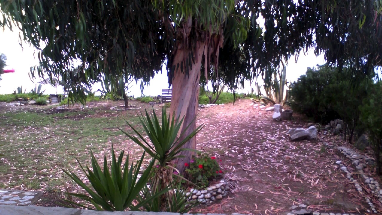 Photo of Outdoor in Ouranoupoli