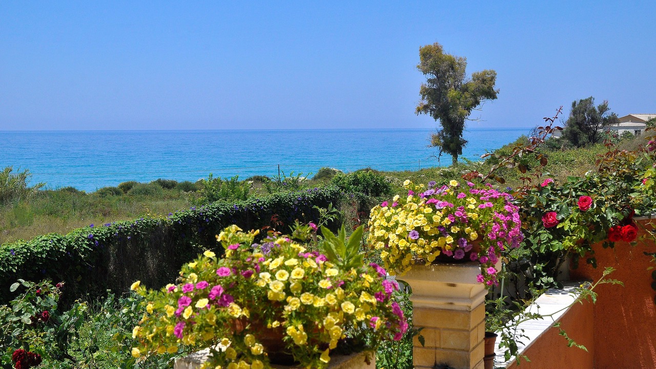 Photo of Others in Agios Gordios