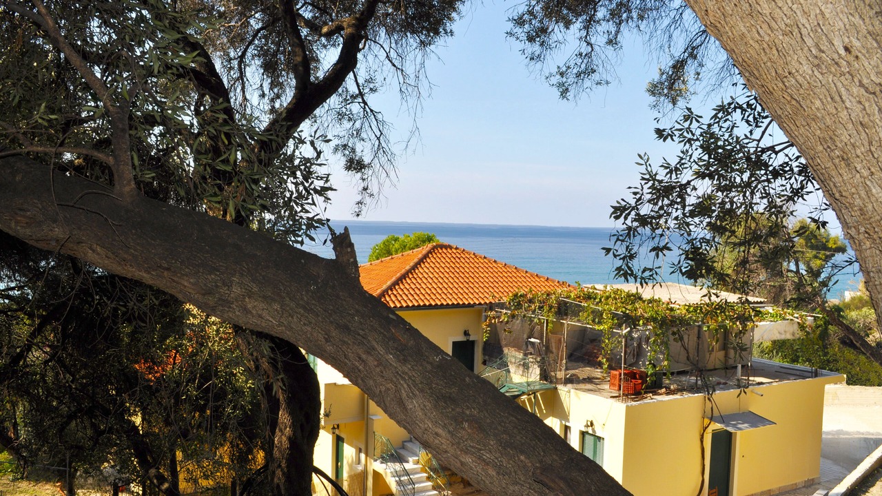 Photo of Others in Agios Gordios