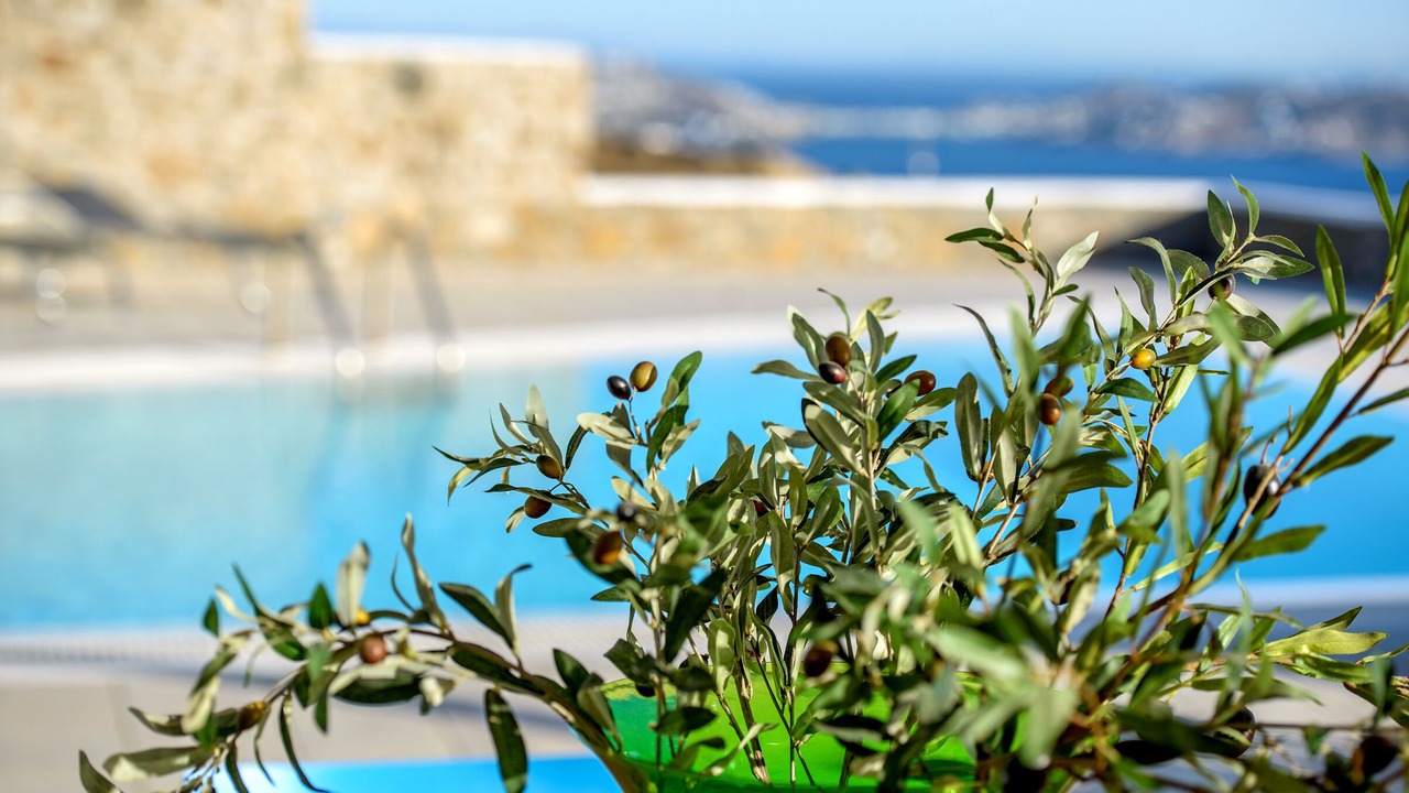 Photo of Outdoor in Fanari
