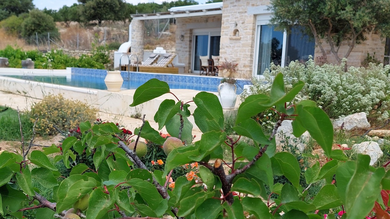Photo of Outdoor in Kamilari