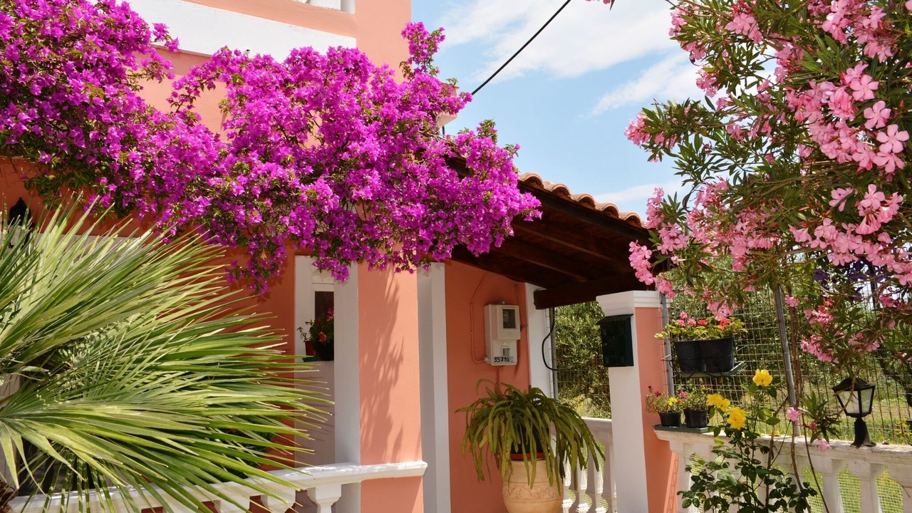Photo of Outdoor in Agrilia