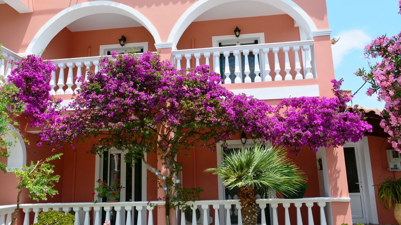 Photo of Patio Balcony in Agrilia