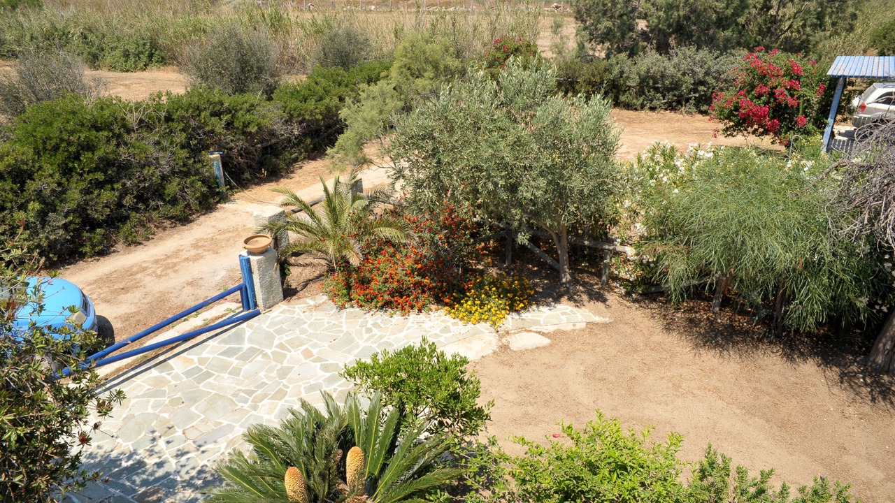 Photo of Outdoor in Plaka