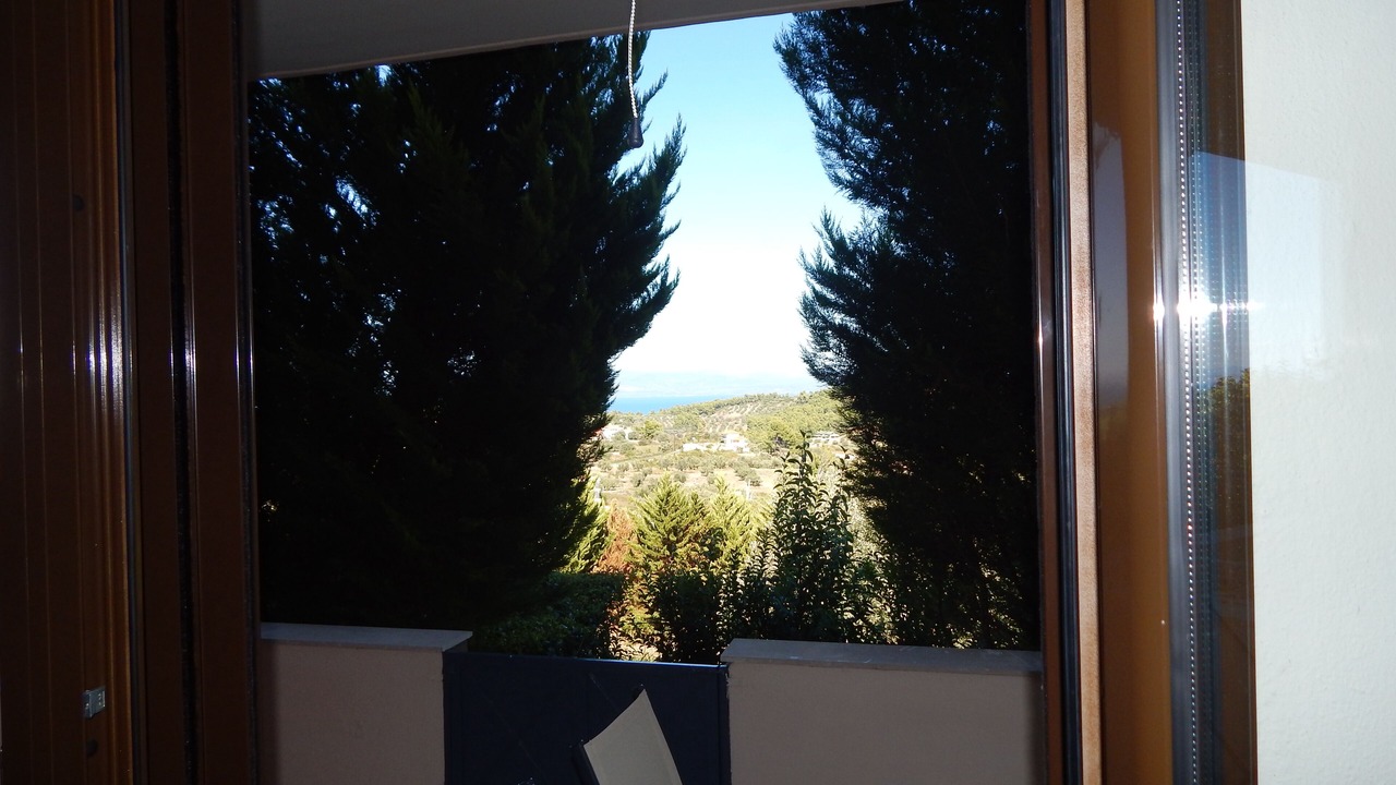 Photo of Others in Paliouri