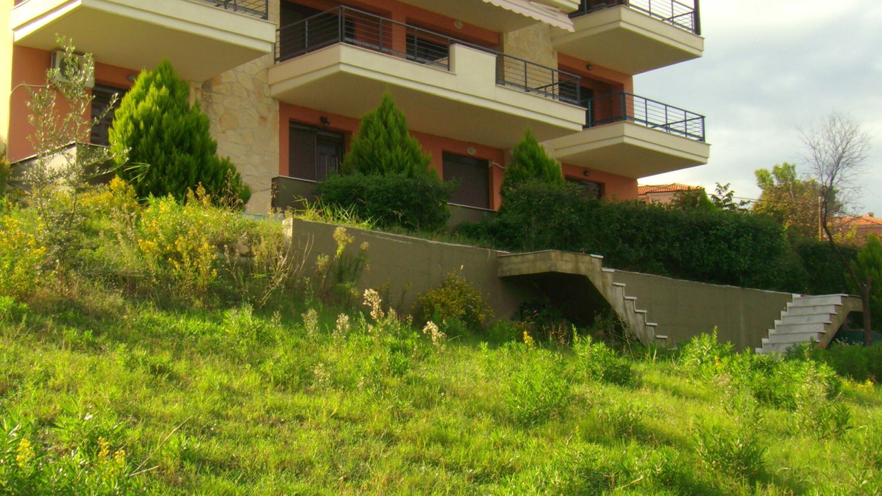 Photo of Outdoor in Paliouri