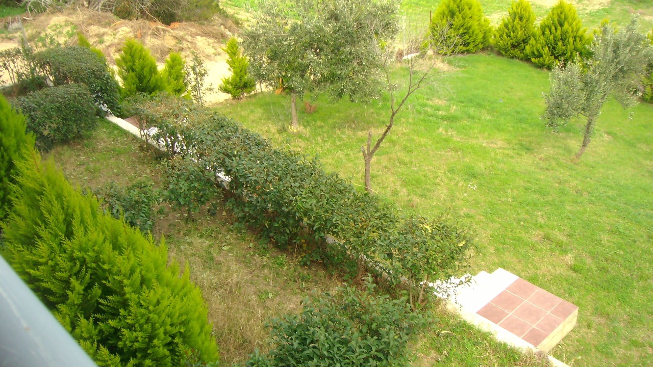 Photo of Others in Paliouri