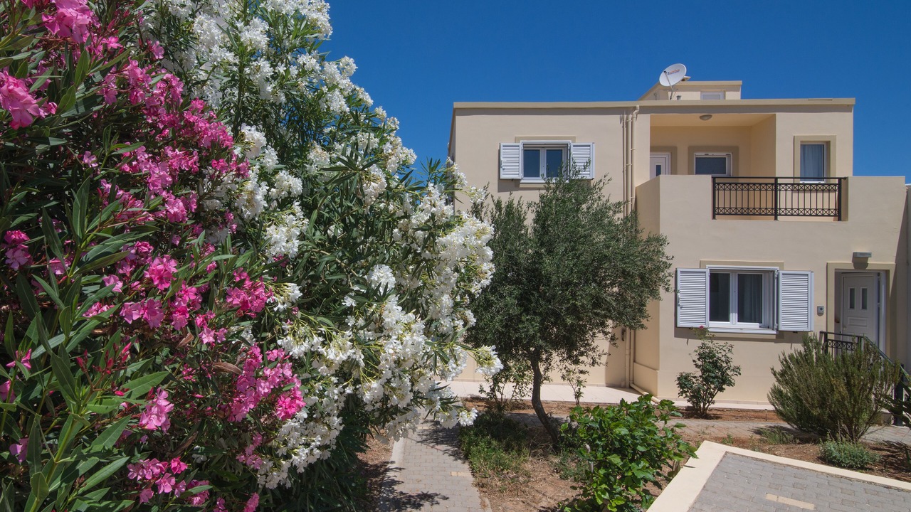 Photo of Outdoor in Gournai