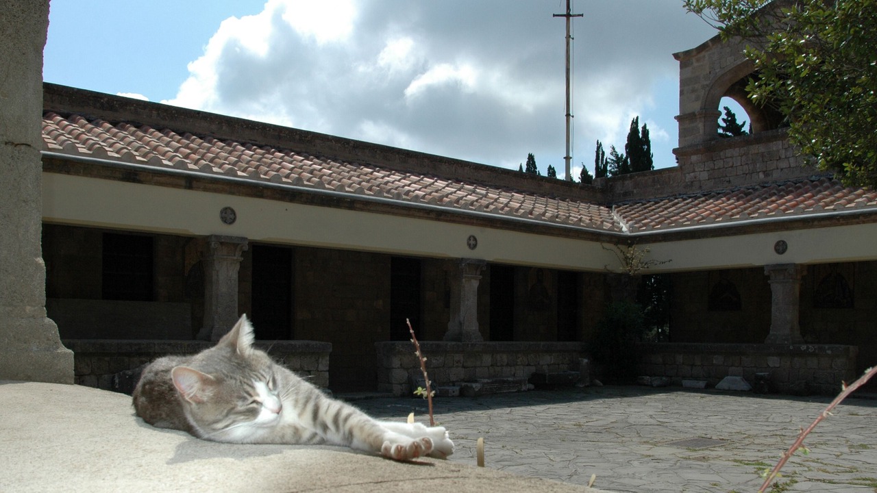 Photo of Outdoor in Ialyssos