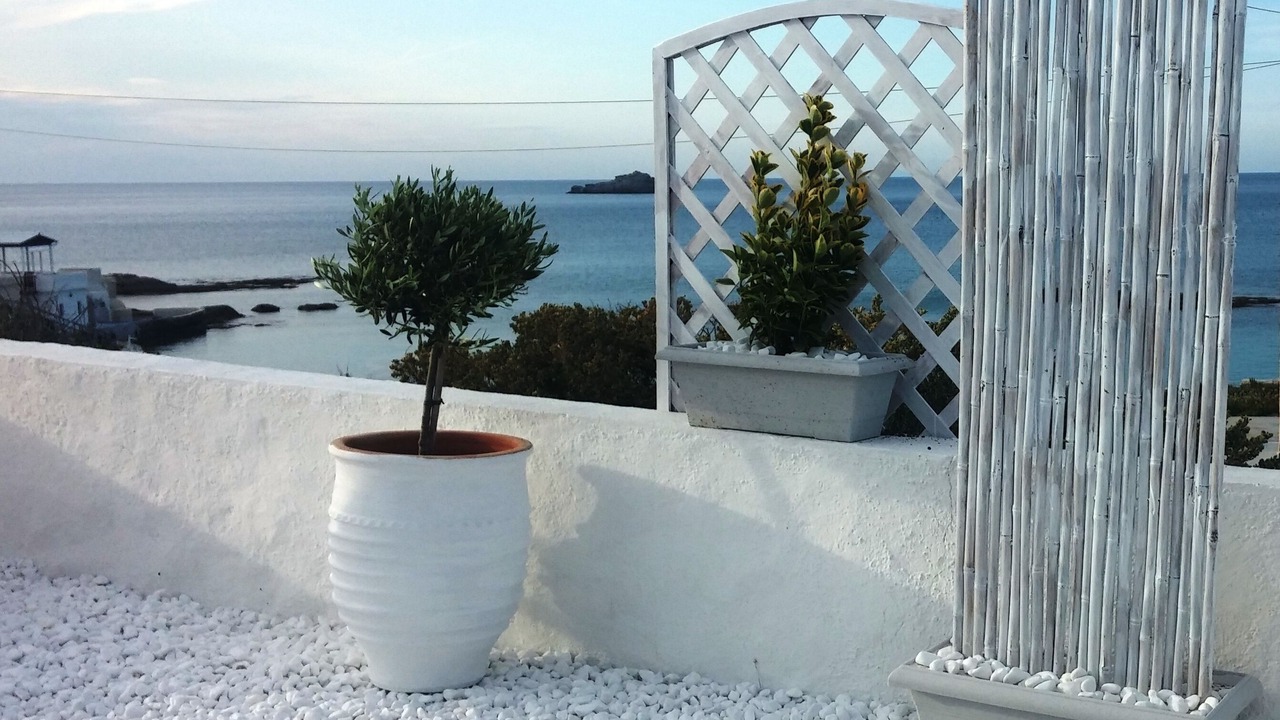 Photo of Outdoor in Mandrakia