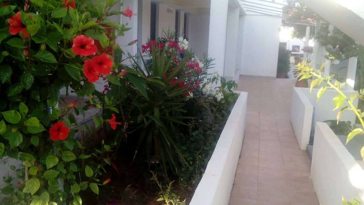 Photo of Outdoor in Gournai
