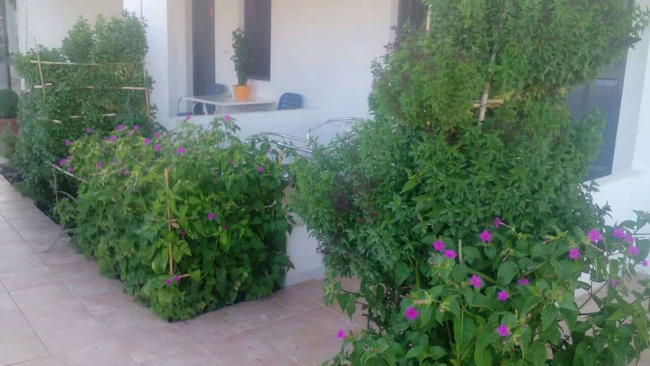 Photo of Outdoor in Gournai