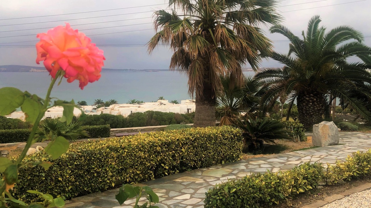 Photo of Outdoor in Naousa