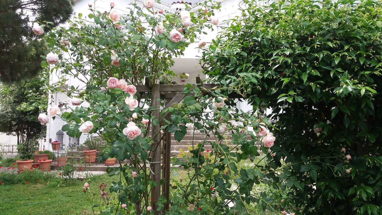 Photo of Outdoor in Kymina