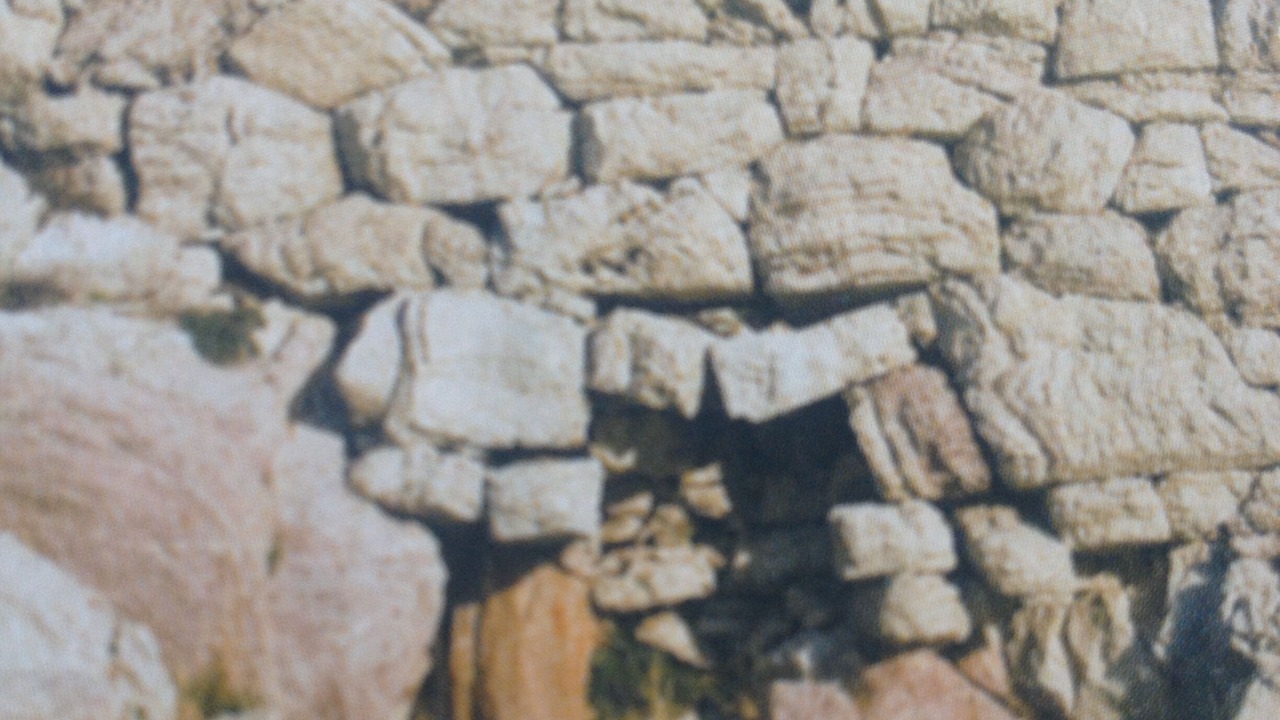 Photo of Others in Andritsaina