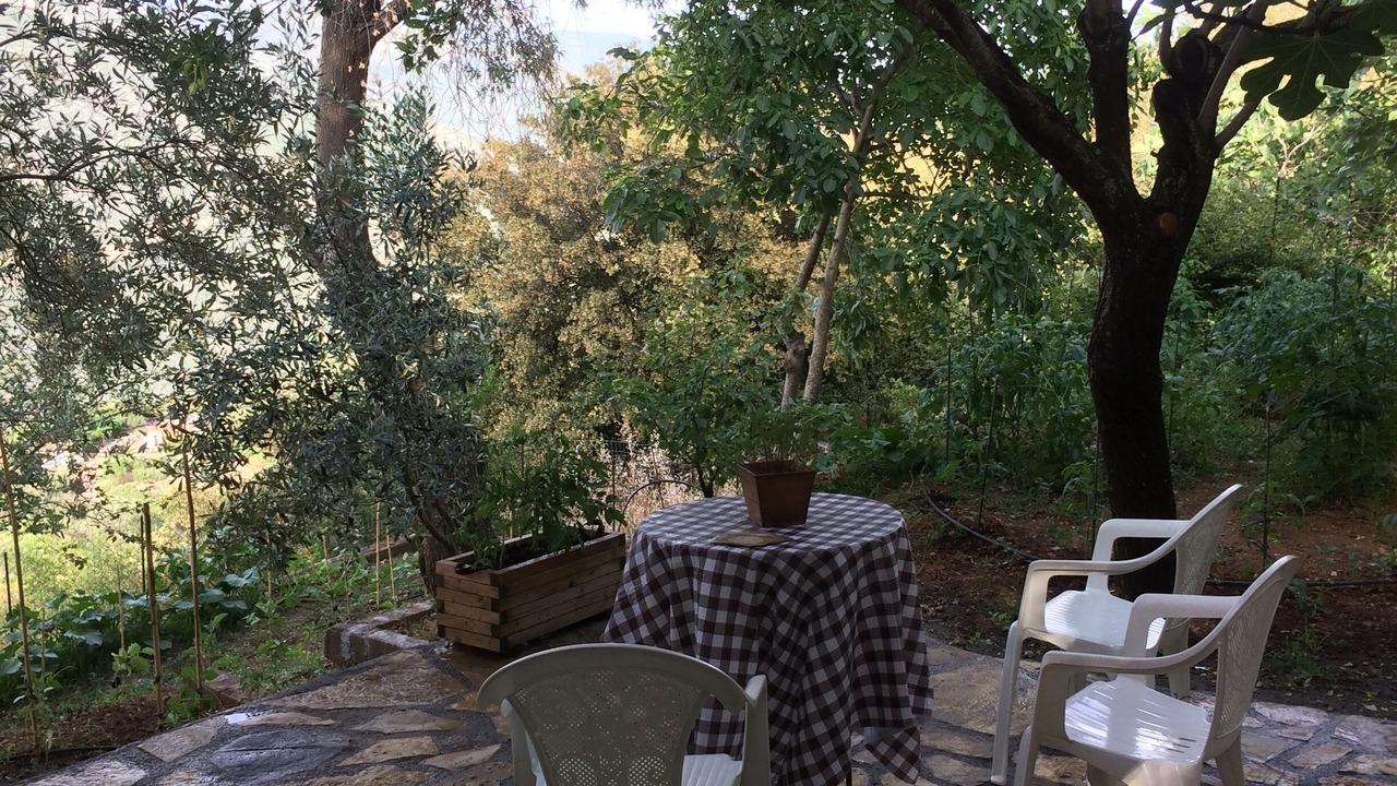 Photo of Outdoor in Andritsaina