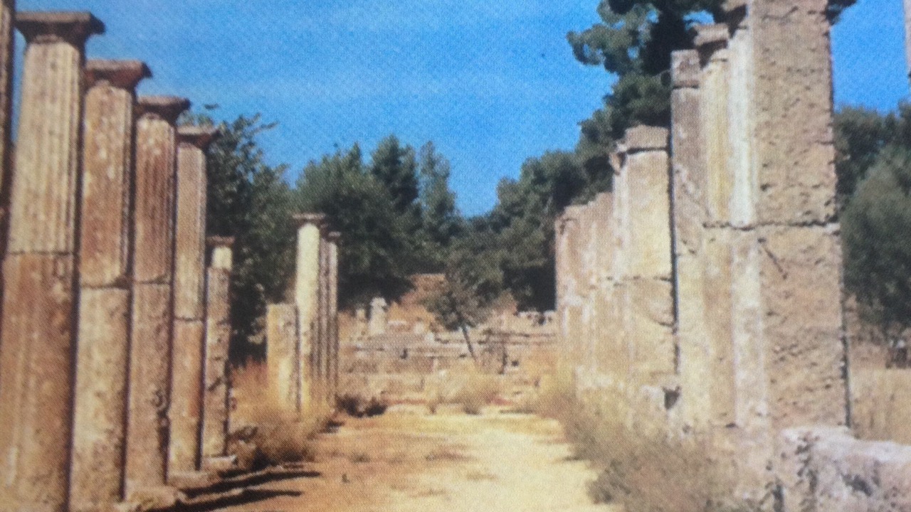 Photo of Others in Andritsaina