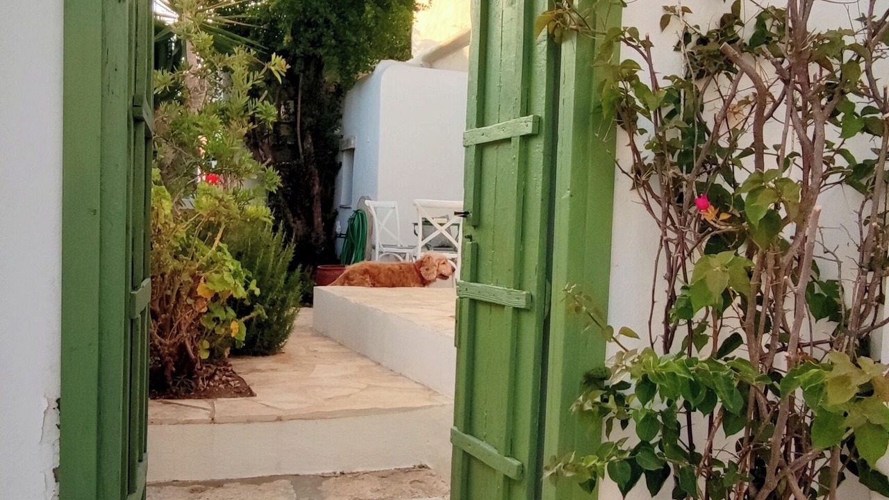 Photo of Outdoor in Folegandros Town