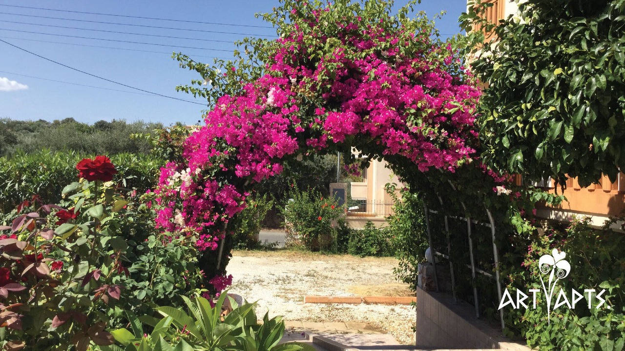 Photo of Outdoor in Daratsos