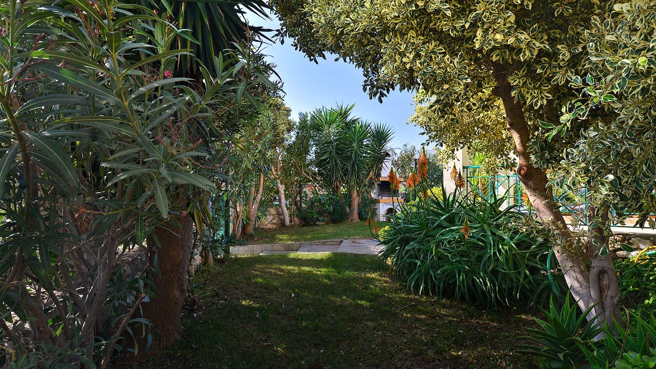 Photo of Outdoor in Drapanos
