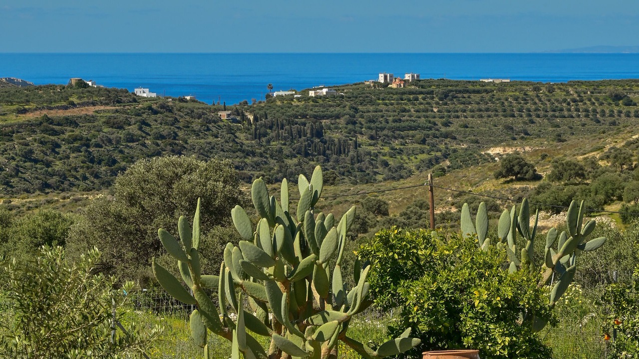 Photo of Outdoor in Kamilari