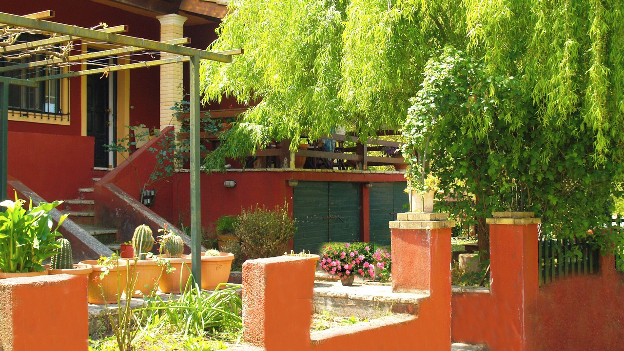 Photo of Others in Parelia
