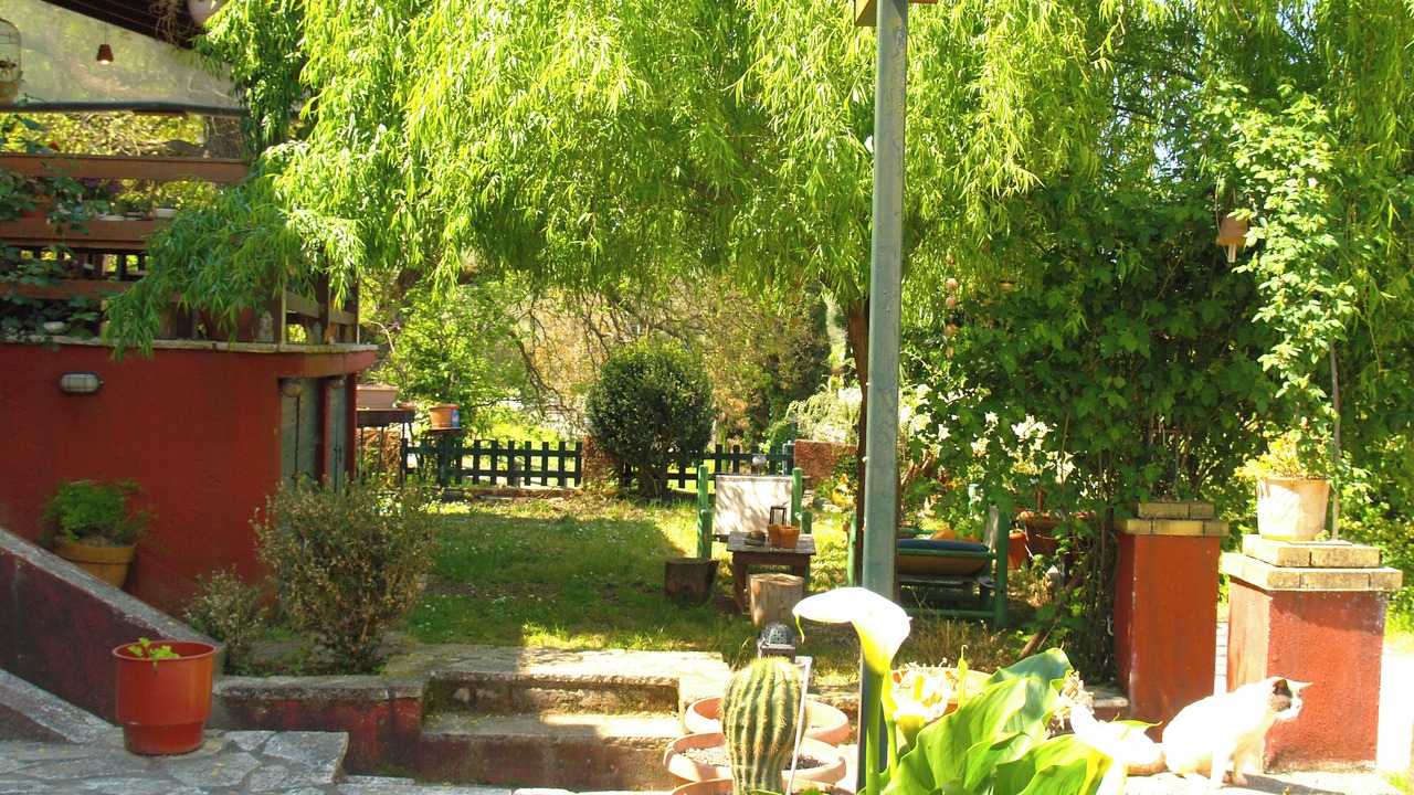 Photo of Others in Parelia
