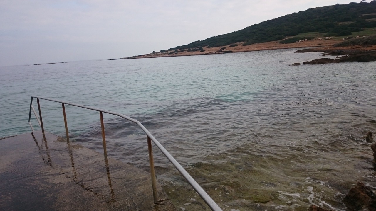 Photo of Others in Markopoulo Mesogaias