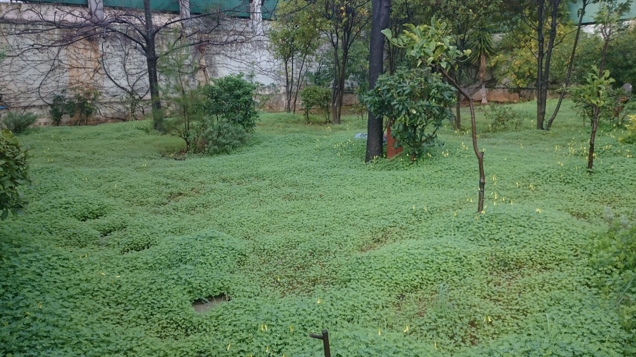 Photo of Outdoor in Markopoulo Mesogaias