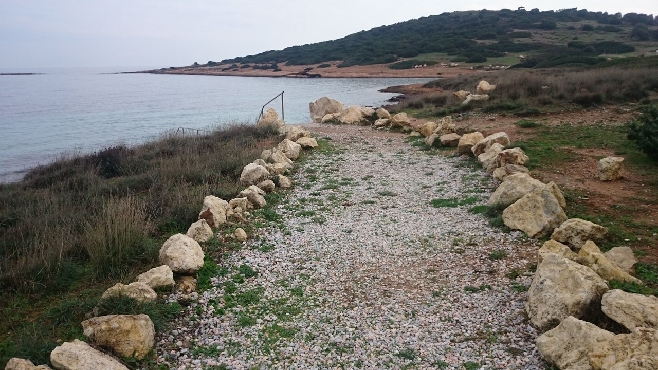 Photo of Others in Markopoulo Mesogaias