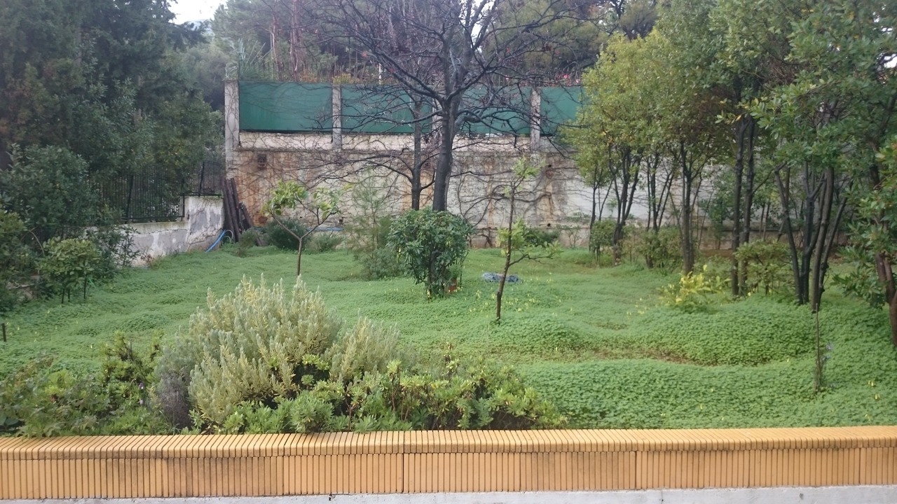 Photo of Outdoor in Markopoulo Mesogaias
