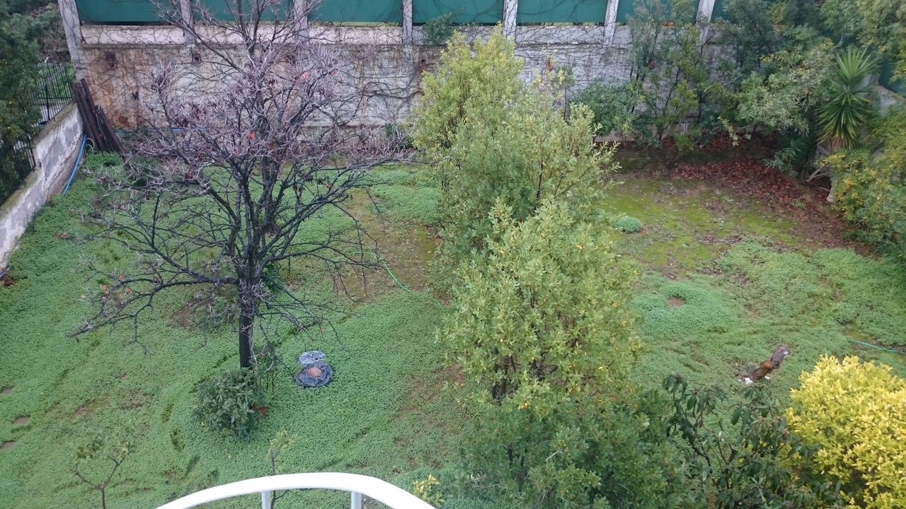 Photo of Outdoor in Markopoulo Mesogaias