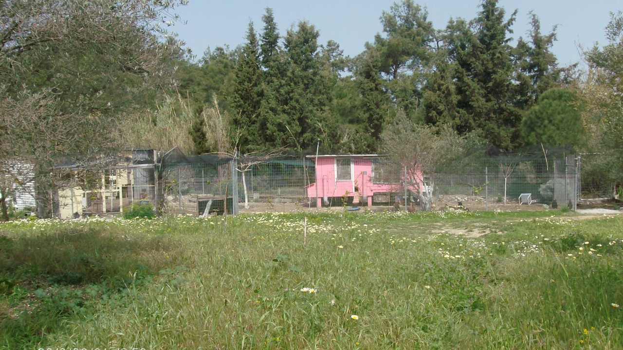 Photo of Outdoor in Kallithea