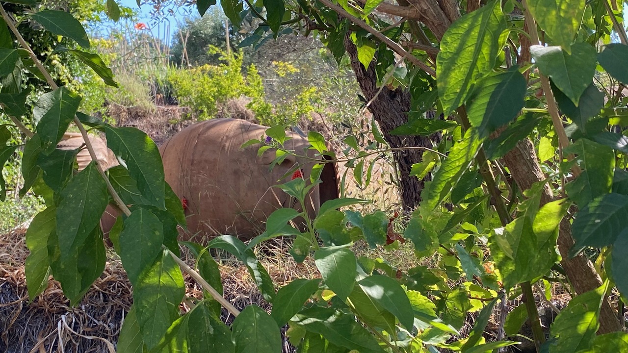Photo of Outdoor in Kallithea
