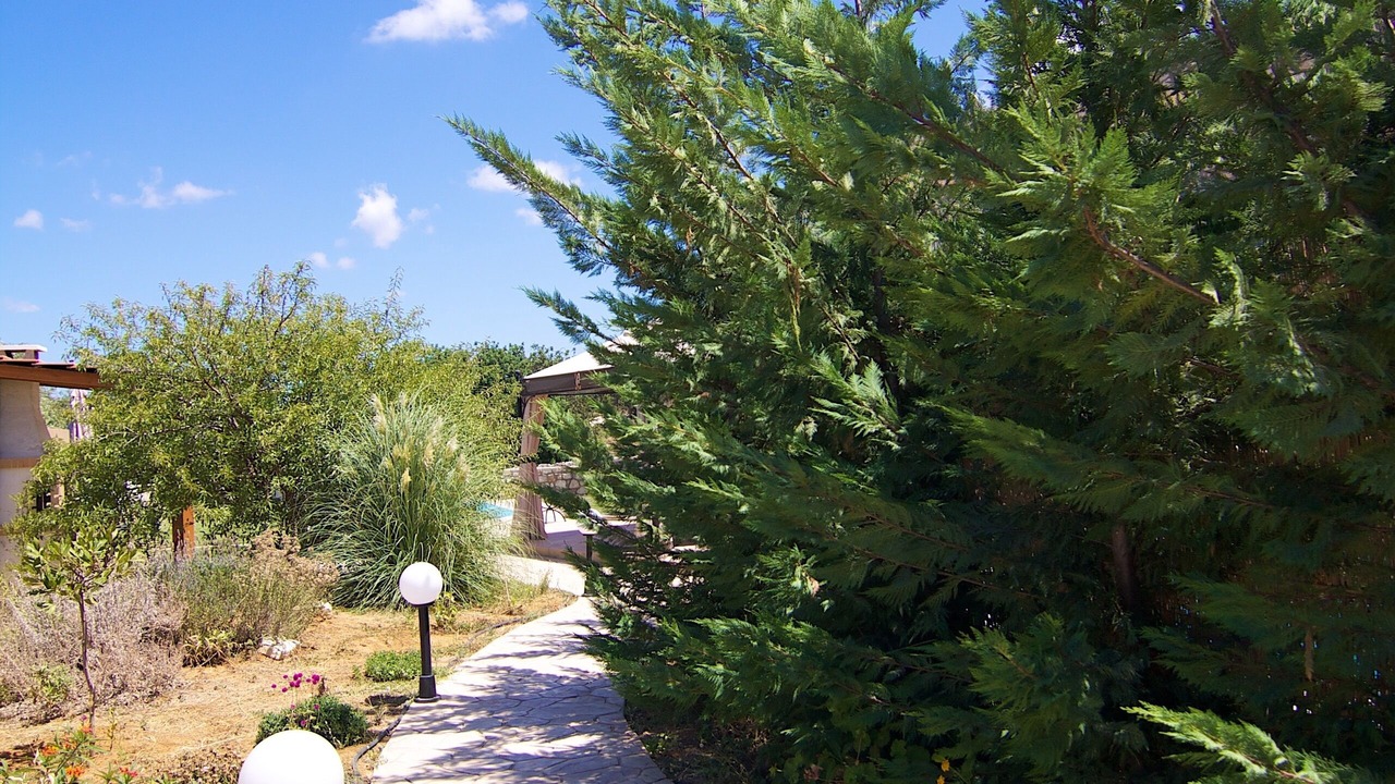 Photo of Outdoor in Tzannakiana