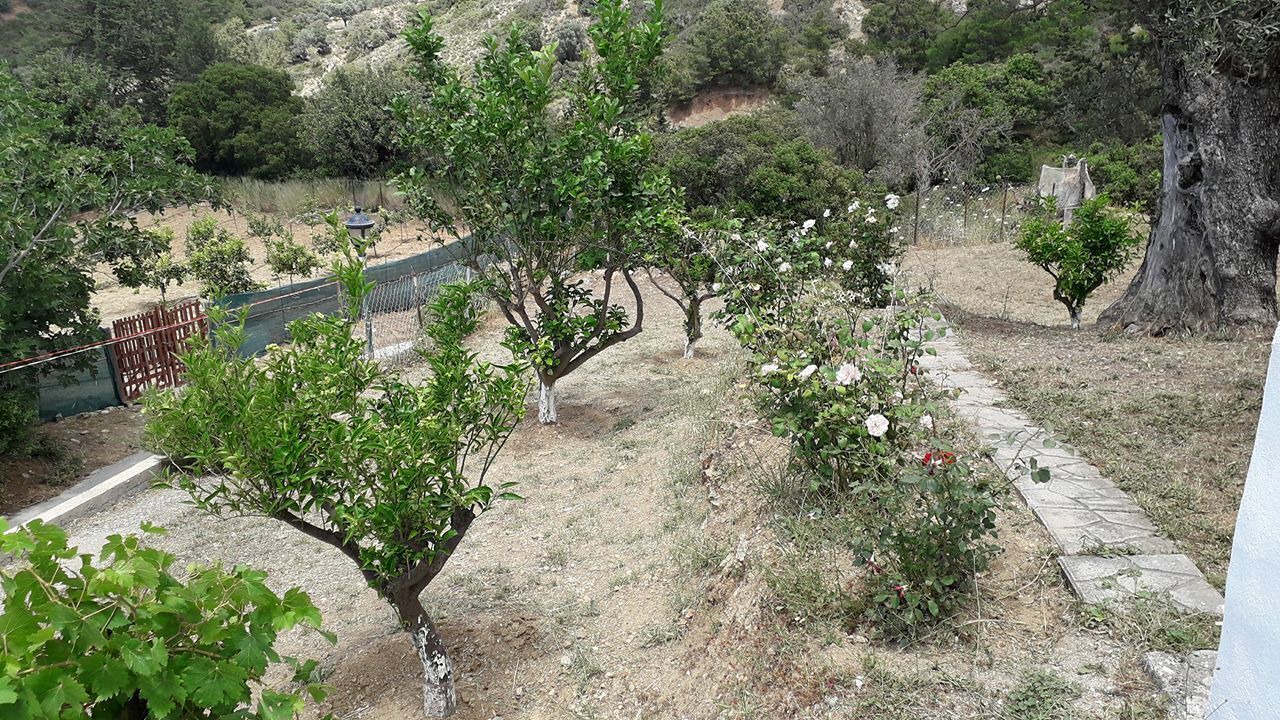 Photo of Outdoor in South Rhodes