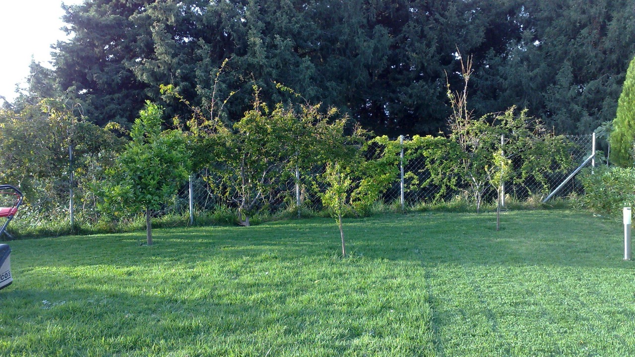 Photo of Outdoor in Koskinou