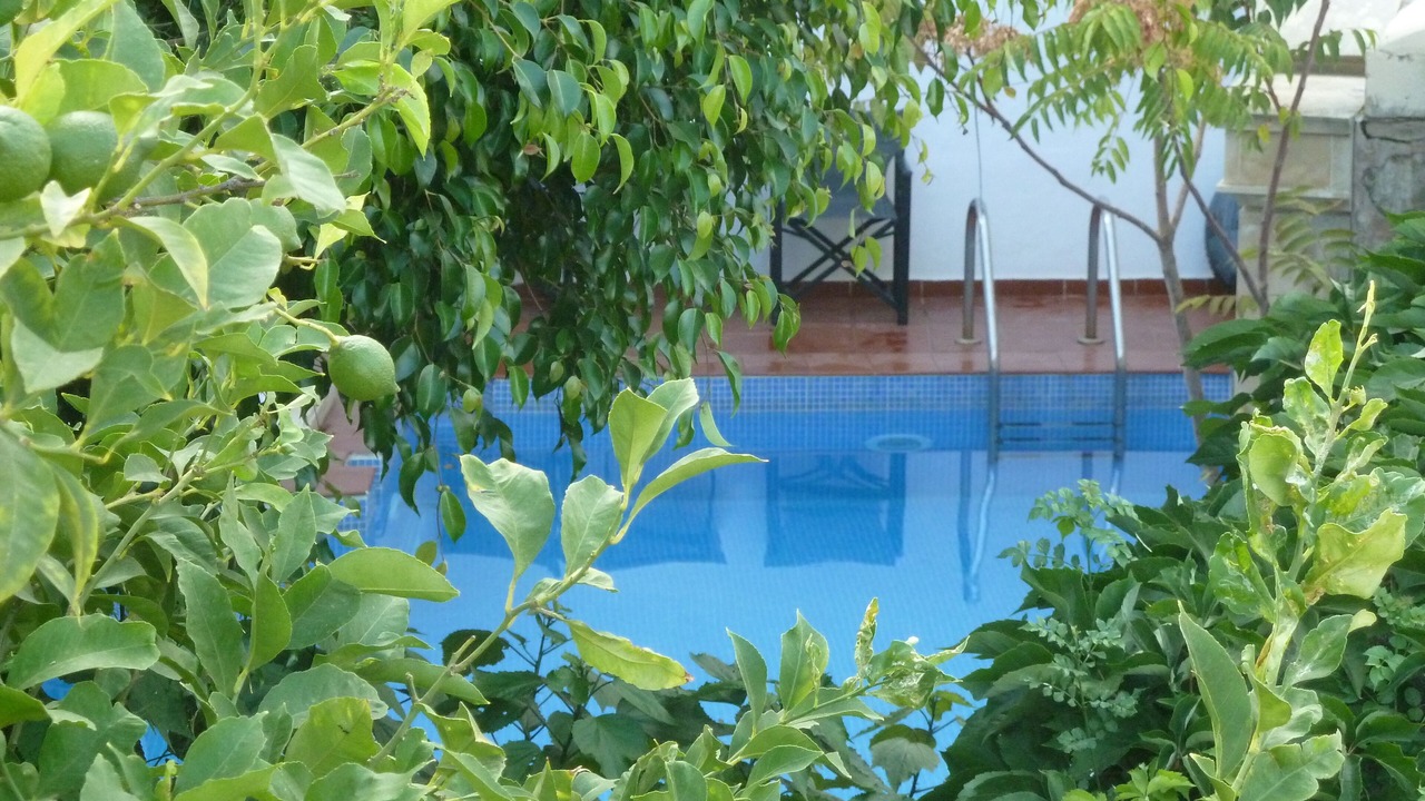 Photo of Outdoor in Atsipópoulon