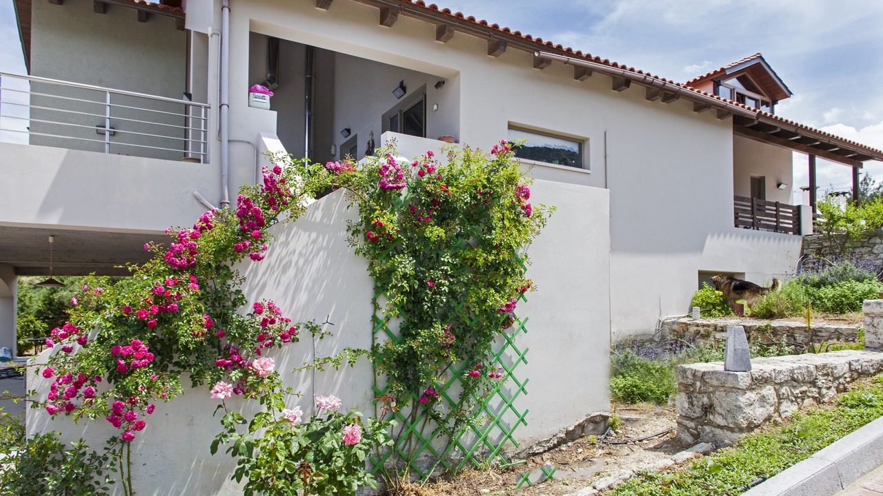 Photo of Outdoor in Archanes