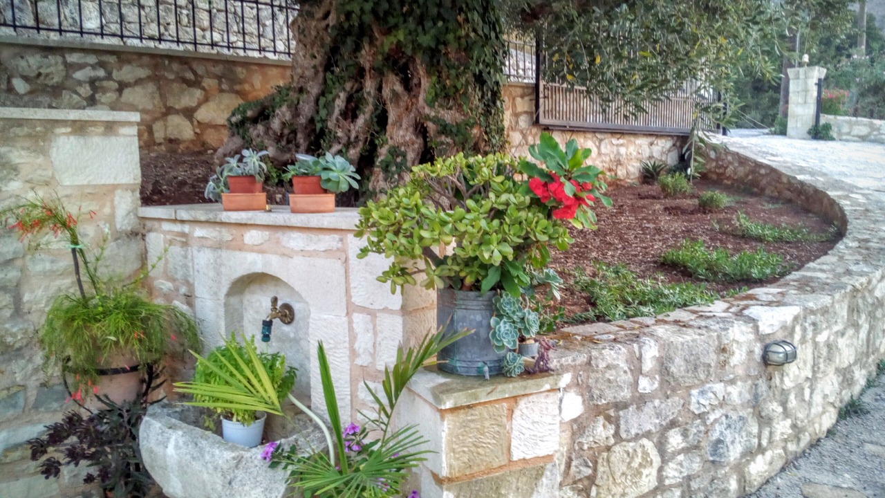 Photo of Outdoor in Tzitzifes