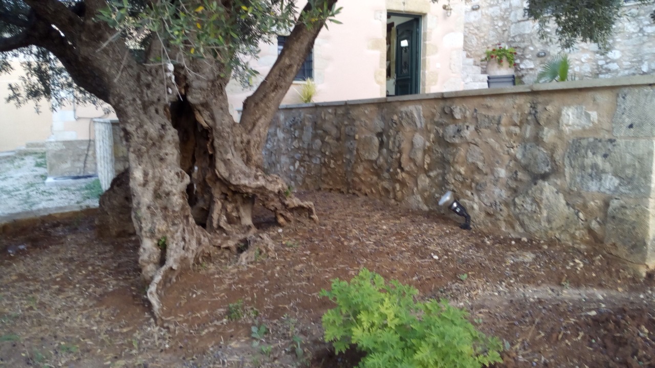 Photo of Outdoor in Tzitzifes