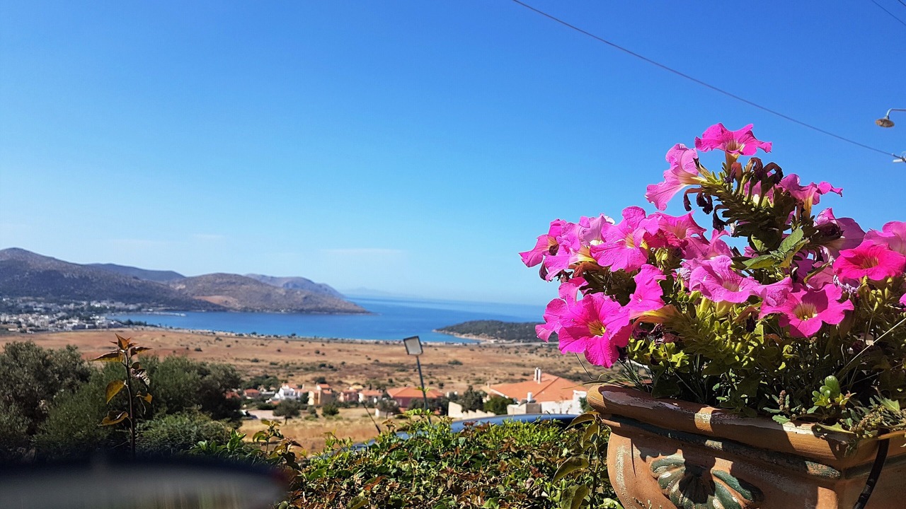 Photo of Outdoor in Anavyssos