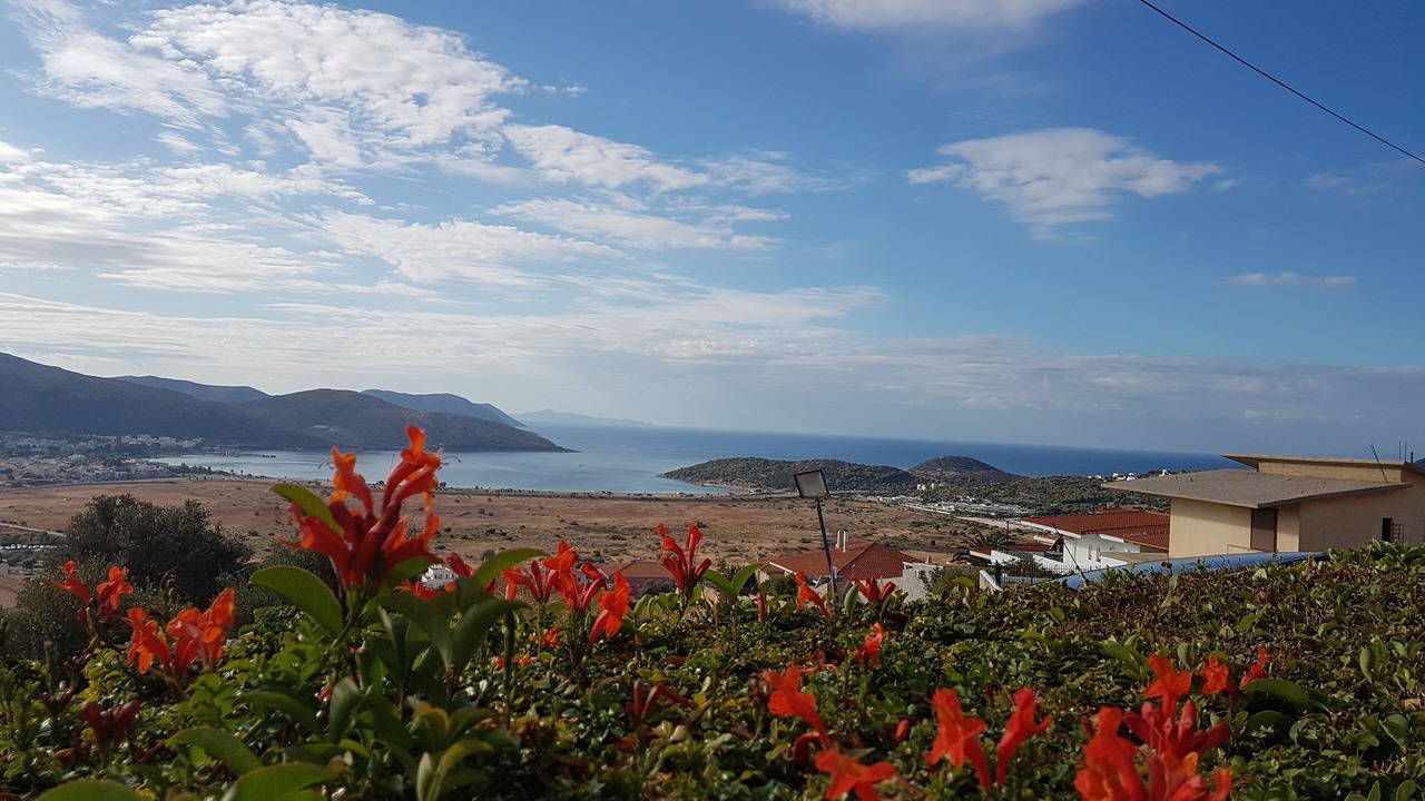 Photo of Others in Anavyssos