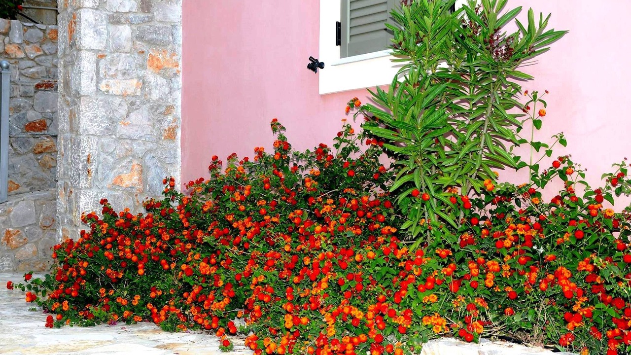 Photo of Outdoor in Livadi