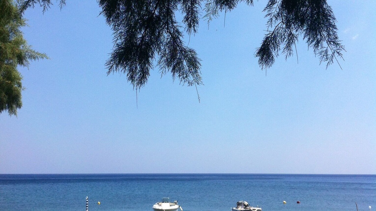 Photo of Others in Archanes-Asterousia
