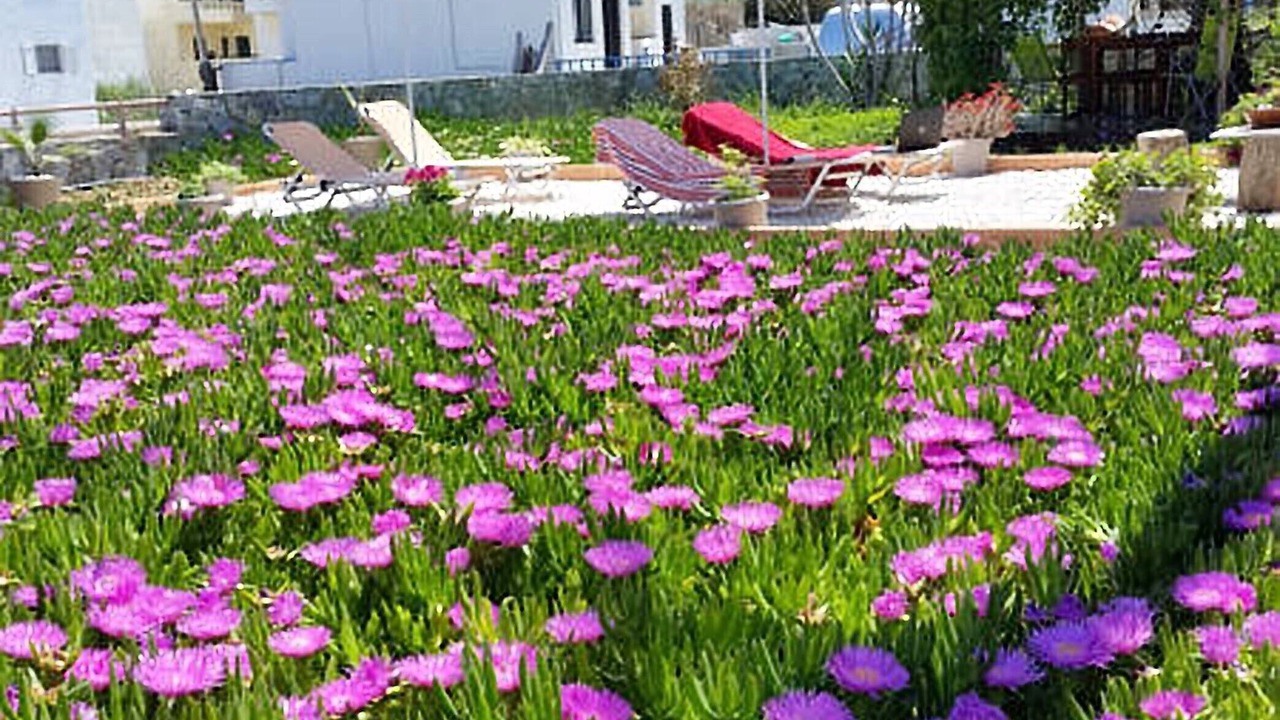 Photo of Outdoor in Milatos Beach