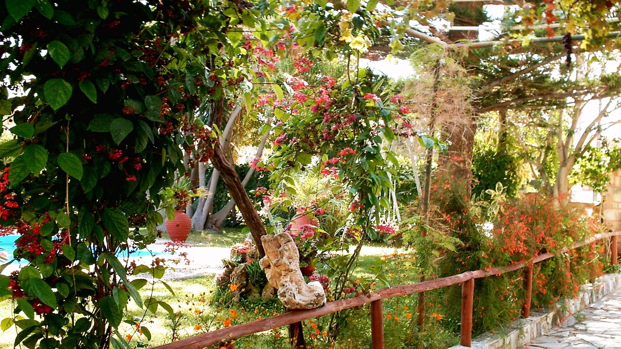 Photo of Outdoor in Maleme
