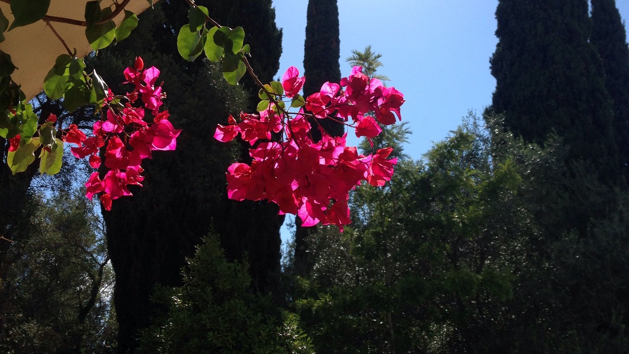Photo of Outdoor in Achilleio